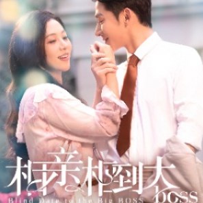 相亲相到大boss