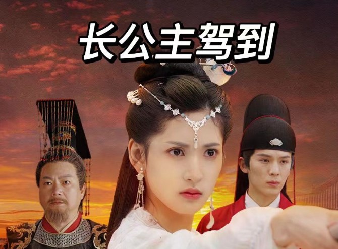 长公主驾到