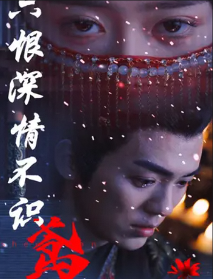 只恨深情不识鸢