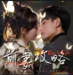 前妻攻略