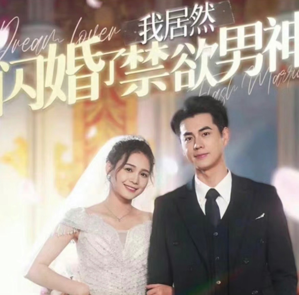 我居然闪婚了禁欲男神