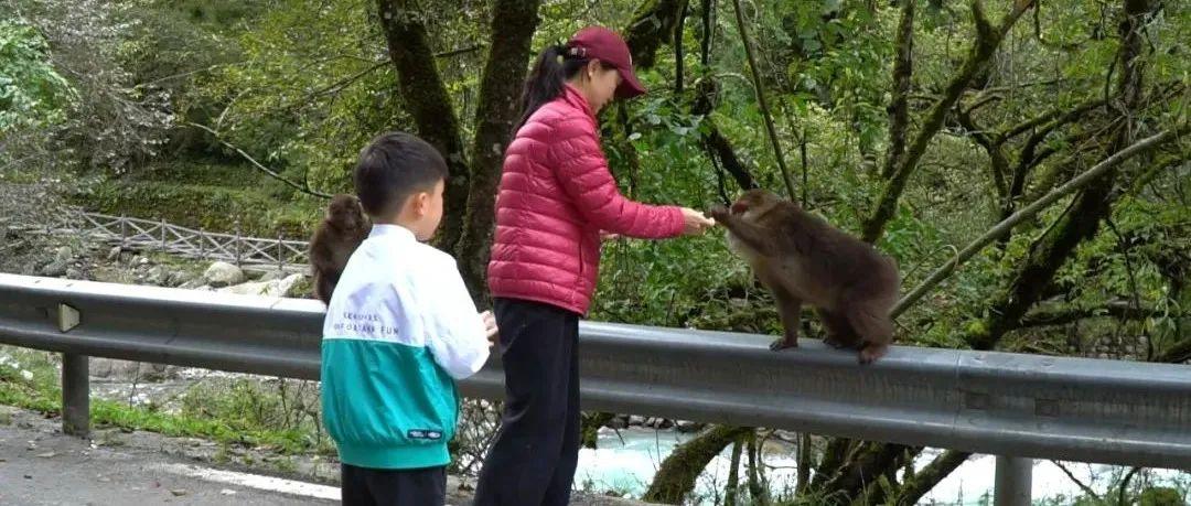 露营|二郎山喇叭河景区：人与自然和谐相处