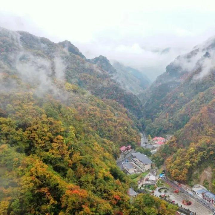 伊吾胡杨林|马桥镇：秋韵浓郁，风景如画