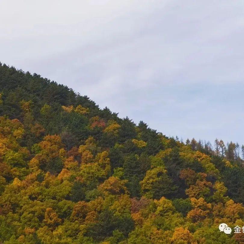 五台山|金色五台山，等你来相遇
