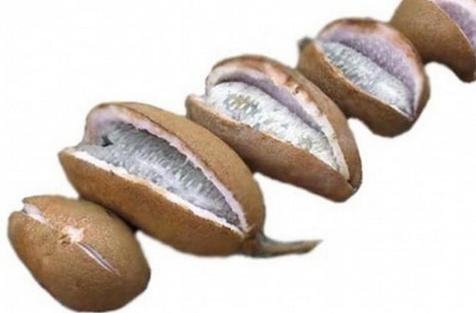 ##农村这些东西明明是植物，但是却用动物来命名