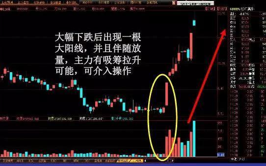 张江高科(600895):大幅下跌后出现一根大阳线,并且伴随着放量,主力有
