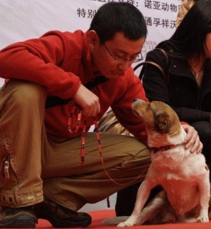 狗狗护家被小偷砍去后肢！接下来让人不淡定了