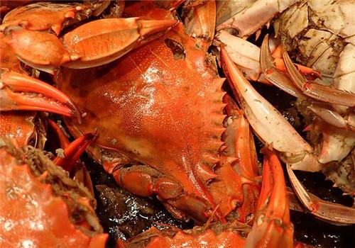 吃完螃蟹不能吃什么 螃蟹和这十种食物相克