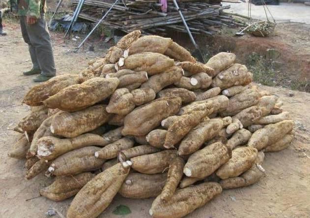 如果喝酒出现这几个现象, 就不要再喝酒了