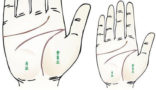 手上的"纹"和"丘"代表一个人命运? 能预测一个人死亡时间吗?