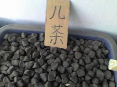 儿茶究竟是什么东西? 看看它的那些神奇功效吧!