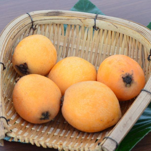 清明前后 这六种水果可以让你越吃越好看 越吃越健康