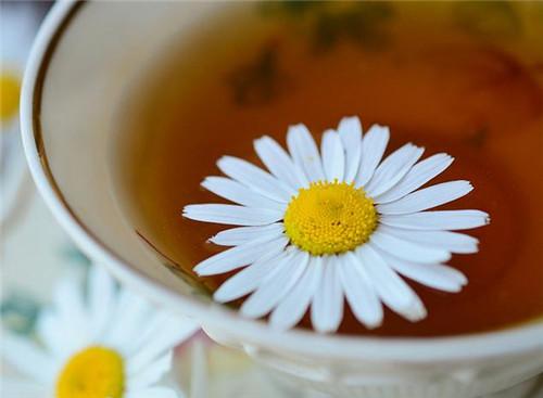 乌龙茶减肥茶_减肥乌龙茶推荐_哪种乌龙茶减肥