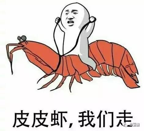 骑这个,比骑皮皮虾更过瘾!