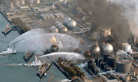 日本福岛核辐射6年后动植物变异或已成为事实图片触目惊心