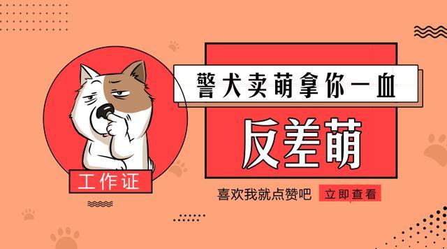 官方卖萌最为致命, 来看看不一样的警犬