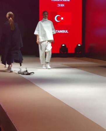 猫咪当众乱入T台, 倒地劈腿舔毛, 最后直接抱住模特大腿不让走