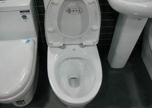 卫生间装修不知道该怎么选马桶? 看了这4种马桶优缺点你就知道了