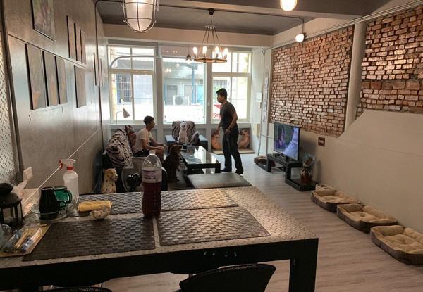 女子为了家庭和狗狗放弃稳定工作, 打造了一家特别的宠物护理店