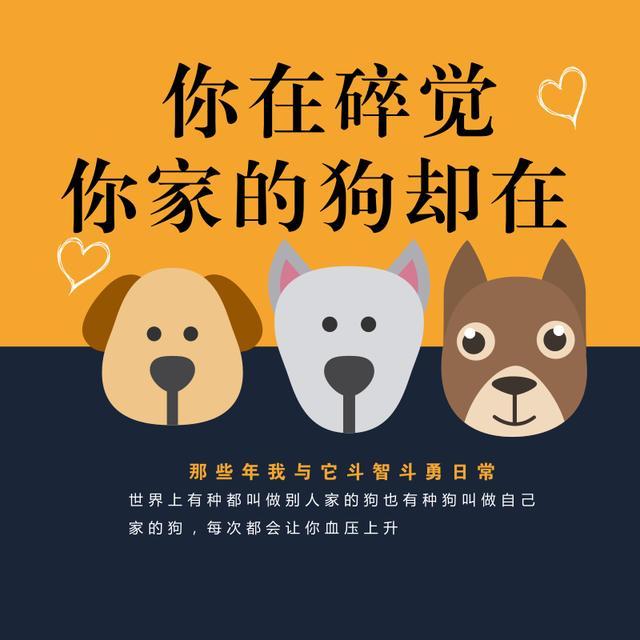 你睡着了狗会给你盖被子? 错! 这才是它们的真面目