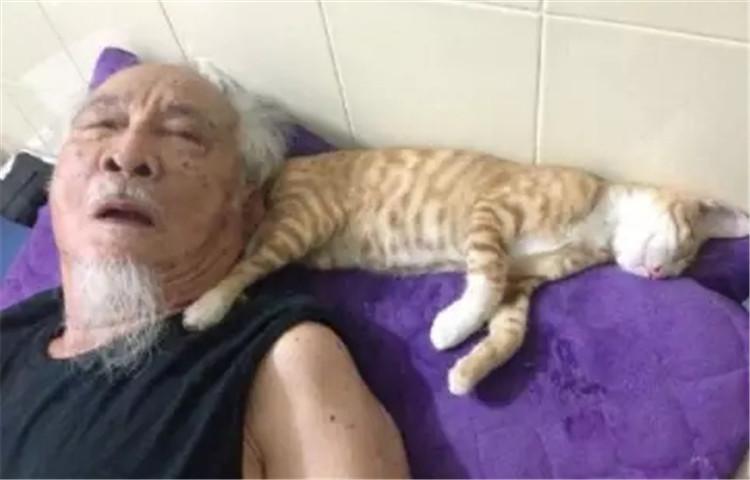 自从那天带大橘回家陪爷爷后, 画风就变了个样儿