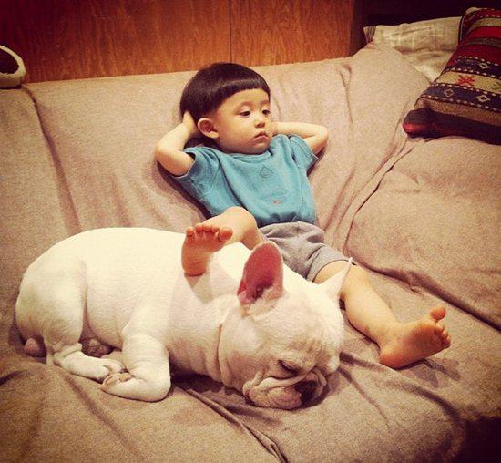 穷养自己, 富养狗, 养了狗以后, 你还能养得起自己?