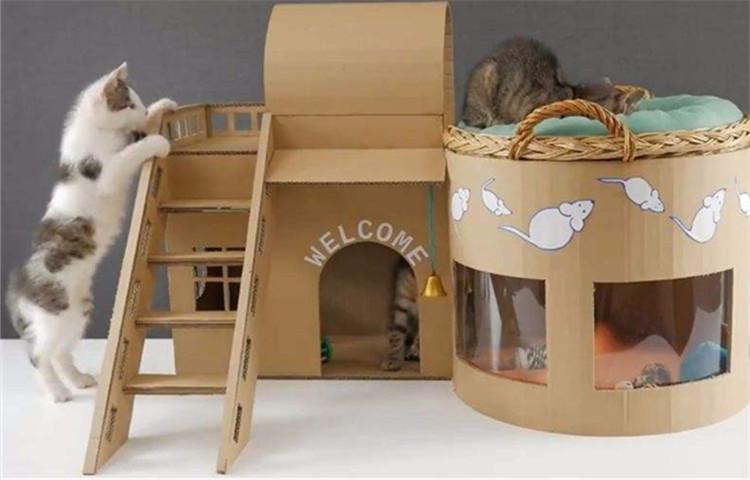 养猫省钱小攻略, 学会这4点不再吃土