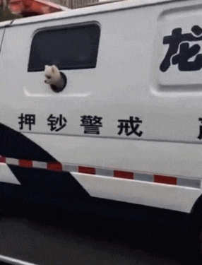 官方卖萌最为致命, 来看看不一样的警犬