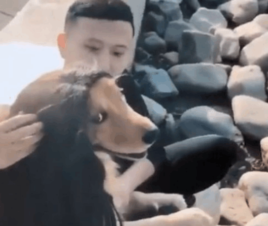 远远看见一对情侣在湖边看风景, 结果走过去一看, 笑喷了