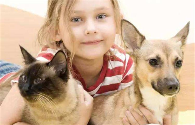 有了狗子后的你, 生活多了哪些变化?