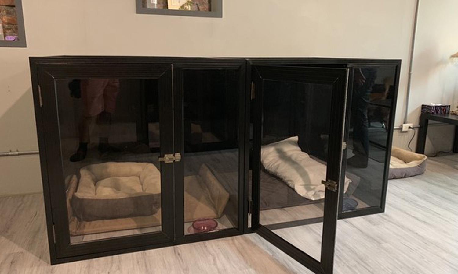 女子为了家庭和狗狗放弃稳定工作, 打造了一家特别的宠物护理店