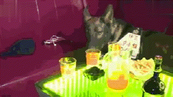 官方卖萌最为致命, 来看看不一样的警犬