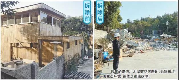 厲害了! 市長帶隊督導! 廈門徹底整治這類房產!