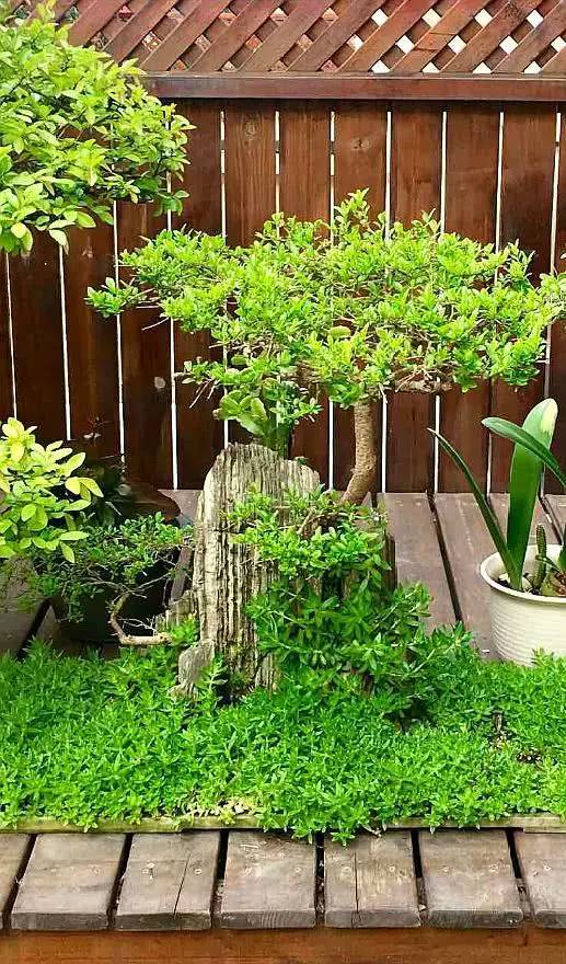 有个花园、有个露台，生活太惬意了！等我有钱，也要这么装！晒晒