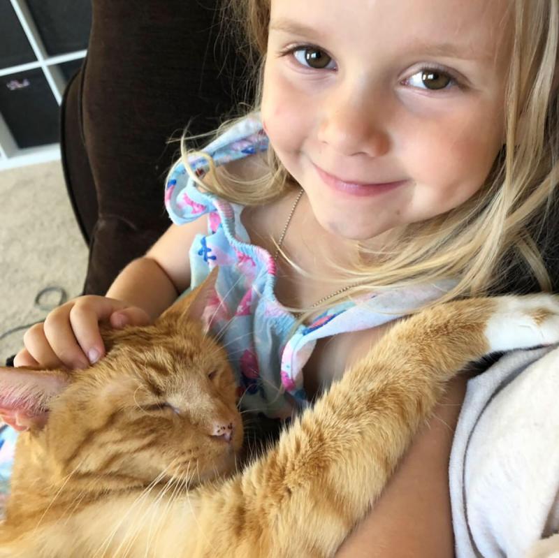 老猫即将离世, 小主人为它歌唱4个小时, 老猫: 下辈子还想遇到你