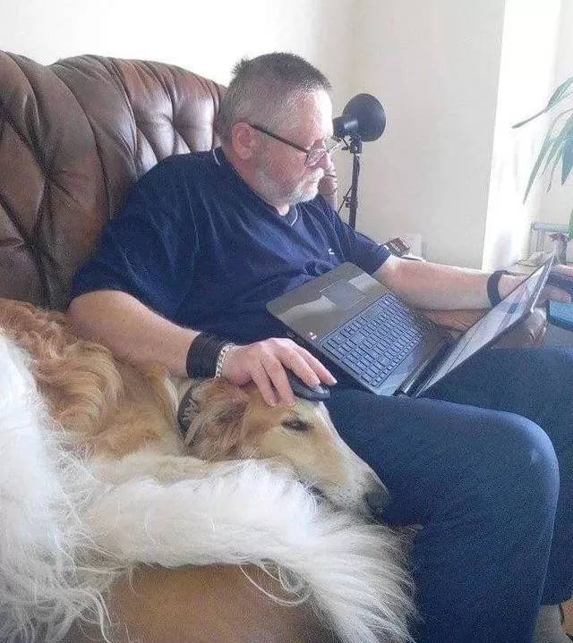 萌宠：看来“夫妻相”这事，在猫狗的世界里也有