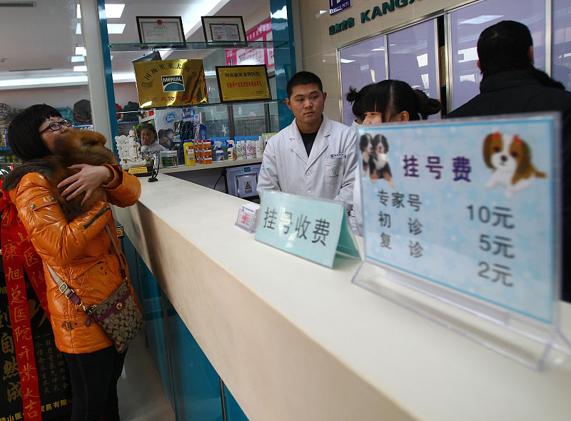 “犬瘟热”是狗生的一个坎，熬过去就赢了熬不过去就输了