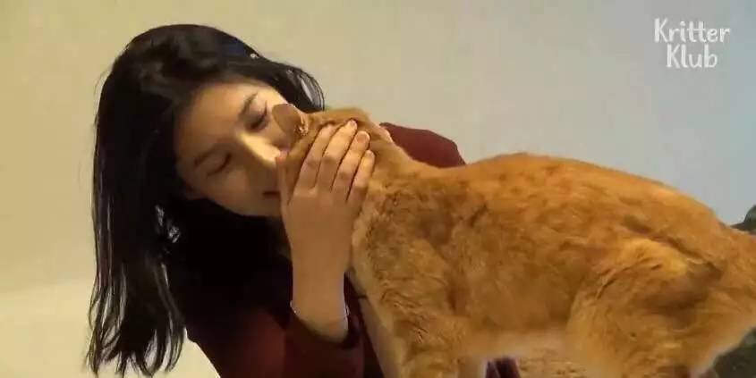 橘猫被遗弃后伤心不已，拒绝进食，暴瘦成纸片，幸好遇见了她