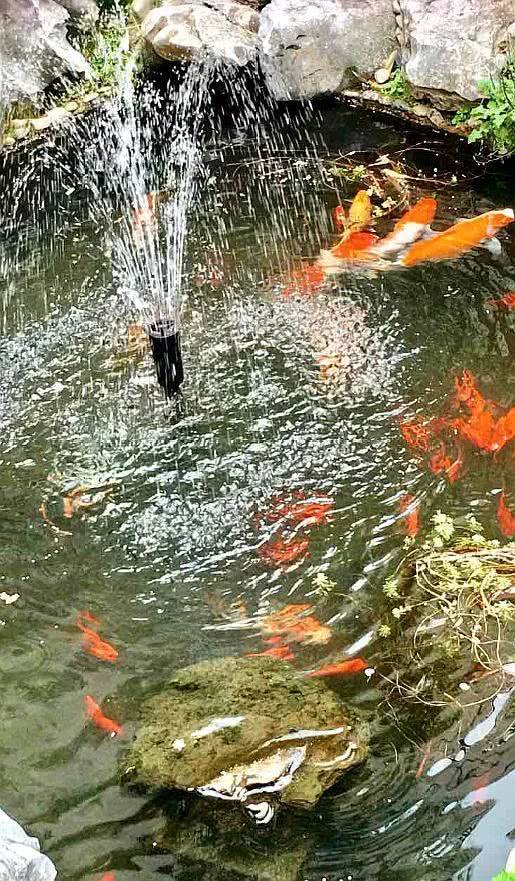 有个花园、有个露台，生活太惬意了！等我有钱，也要这么装！晒晒