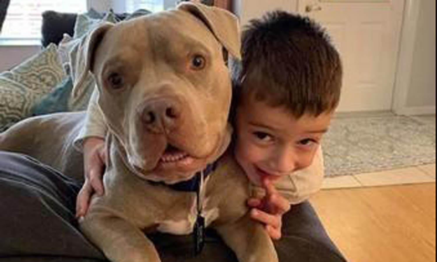 比特犬被人锁在铁笼, 从50斤饿成10斤, 路都走不了, 画面让人气愤