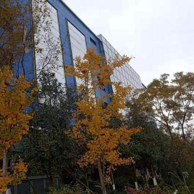 呈贡新都昌商业广场遵循城市发展之道, 倾匠心, 拓繁华生态沃土