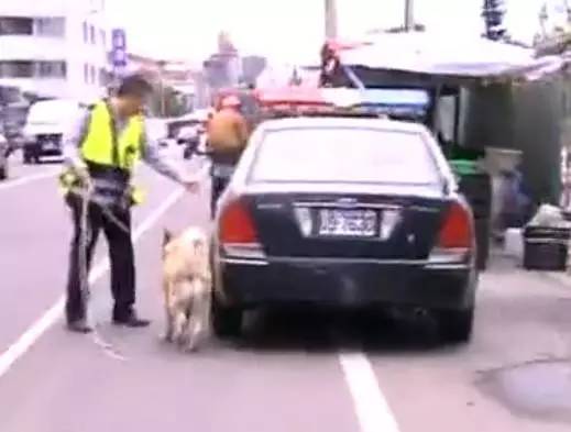 哈士奇又驚動民警了！細數哈士奇的罪狀