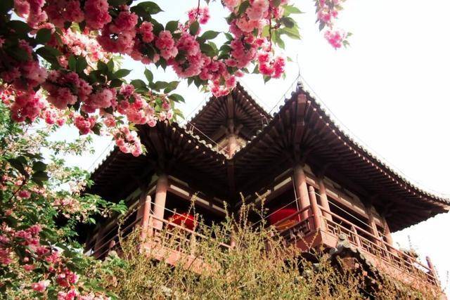 5.1去哪？西安最全免费景点大集合，一个不漏全都在这了！
