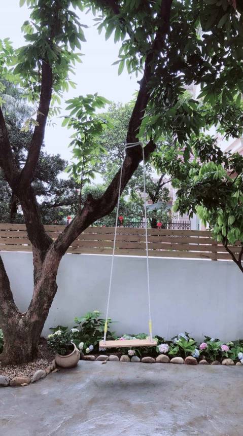 等我们老了，就买个院子吧！养花晒太阳，这么温馨都不想出门了！