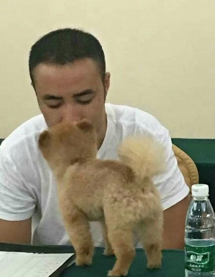 网友带狗狗去参加美容师大赛, 本想夺冠, 它居然中途睡着了