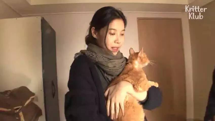 橘猫被遗弃后伤心不已，拒绝进食，暴瘦成纸片，幸好遇见了她