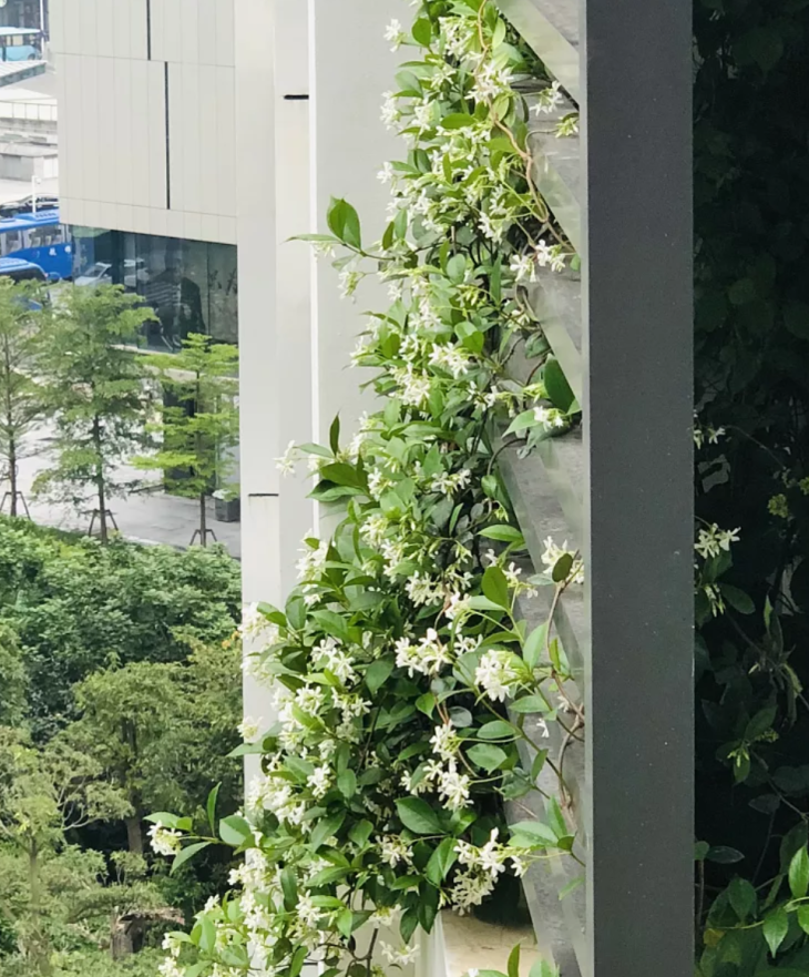 舍棄踢腳線，不裝門框！70㎡的家，越住越舒心，忍不住曬曬！