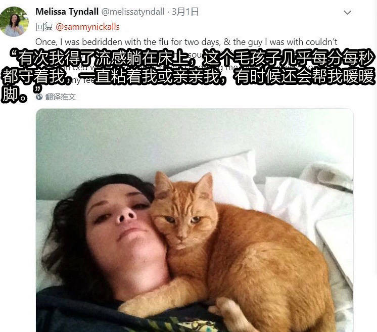 你家猫对你做过什么有爱的举动？