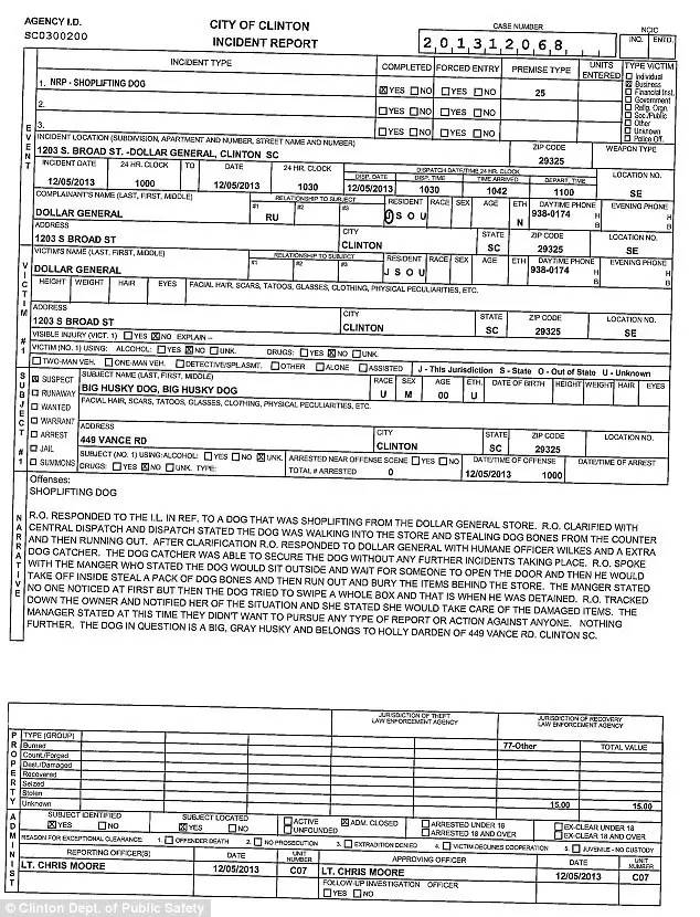 哈士奇又驚動民警了！細數哈士奇的罪狀