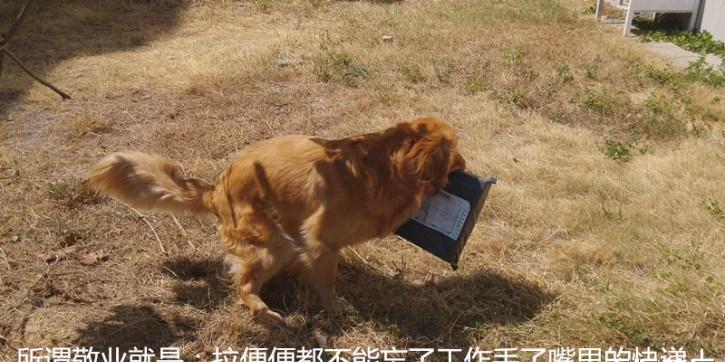 小区最敬业的快递员 上厕所都不忘拿快递 不要运费只要吃的